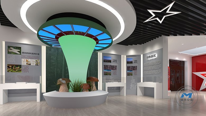 政府機構(gòu)展廳裝修設(shè)計效果特色區(qū)